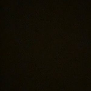 Meet your Posher, Sadie